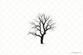 Tree — Rocky's Gallery