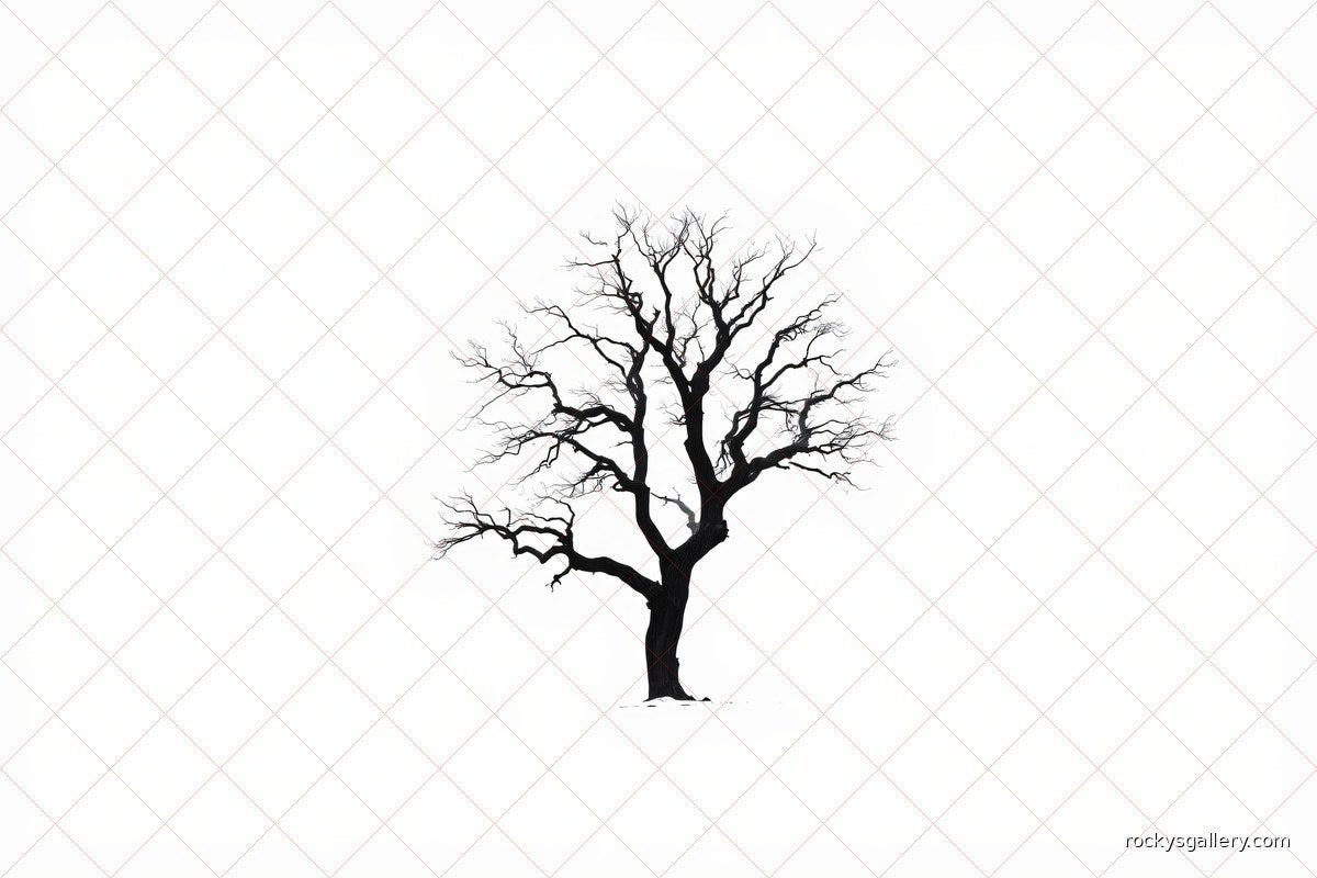 Tree — Rocky's Gallery