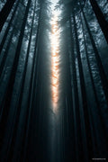 Vertical — Rocky's Gallery