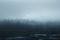 Mist — Rocky's Gallery